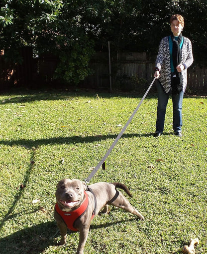 Dog Leash 6Ft Long,Traffic Padded Two Handle,Heavy Duty,Reflective Double Handles Lead for Control Safety Training,Leashes for Large Dogs or Medium Dogs,Dual Handles Leads(Black) - FurrrBabies & More! - 7445010179194