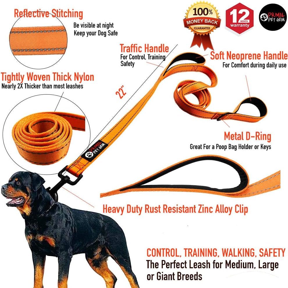 Dog Leash 6Ft Long,Traffic Padded Two Handle,Heavy Duty,Reflective Double Handles Lead for Control Safety Training,Leashes for Large Dogs or Medium Dogs,Dual Handles Leads(Orange) - FurrrBabies & More! - 313023142108