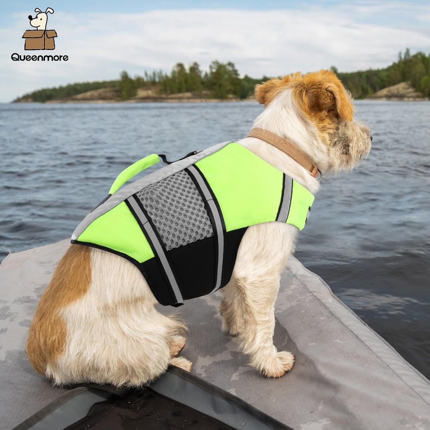 Dog Life Jacket Small Float Vests for Swimming Boating Kayaking Mediumn Puppy Dogs Cats Neoprene Life Preserver Pet Water Lifesaver Lightweight Reflective Green,L - FurrrBabies & More! - 711181501599