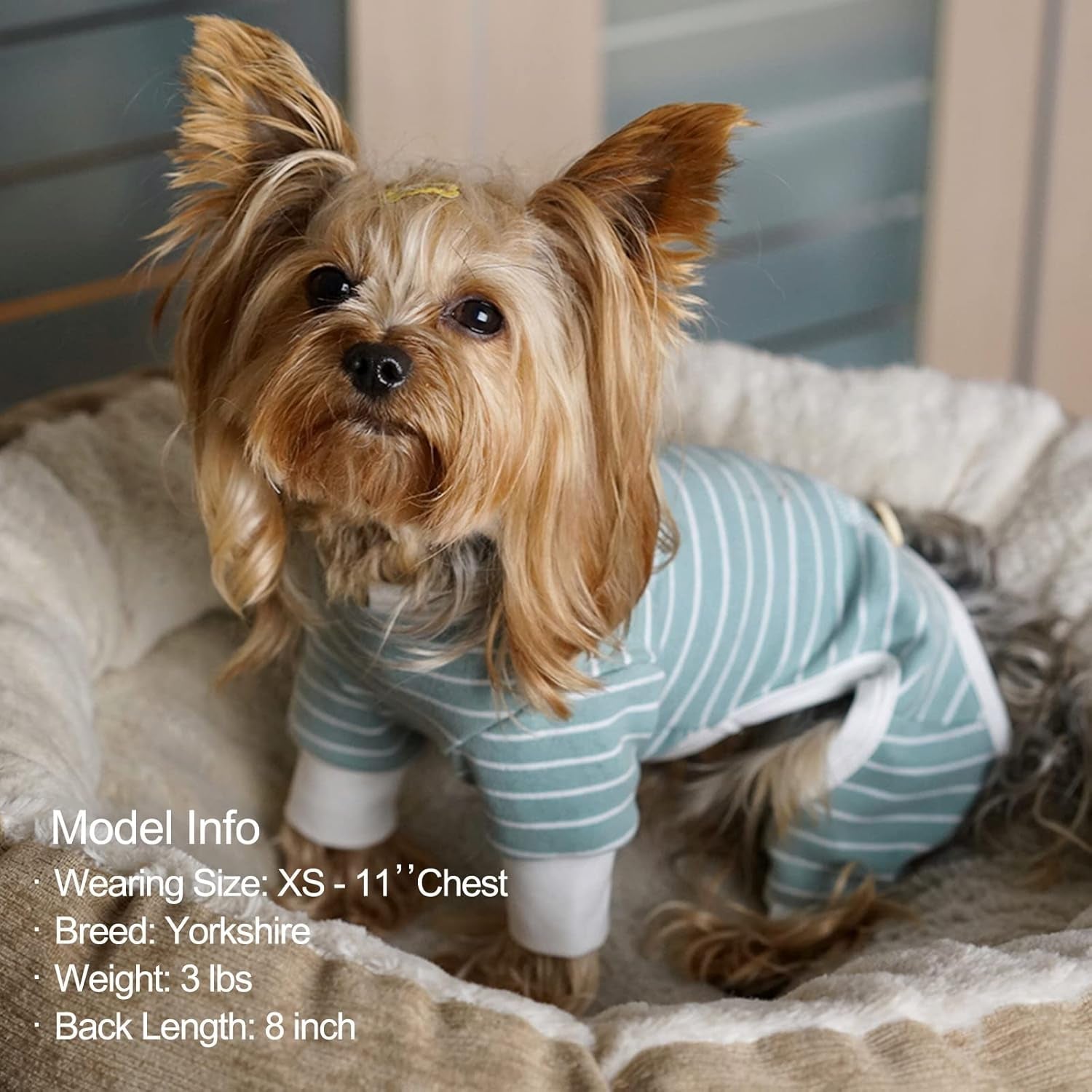 Dog Pajamas Stretchable 4 Legs Doggie Jammies Striped Dog PJS Jumpsuit Lightweight Onesie Puppy Pajamas Soft Breathable Cozy Pet Outfit PJS Comfortable Sleepwear, Green Striped, X - Small - FurrrBabies & More! - 726084276796