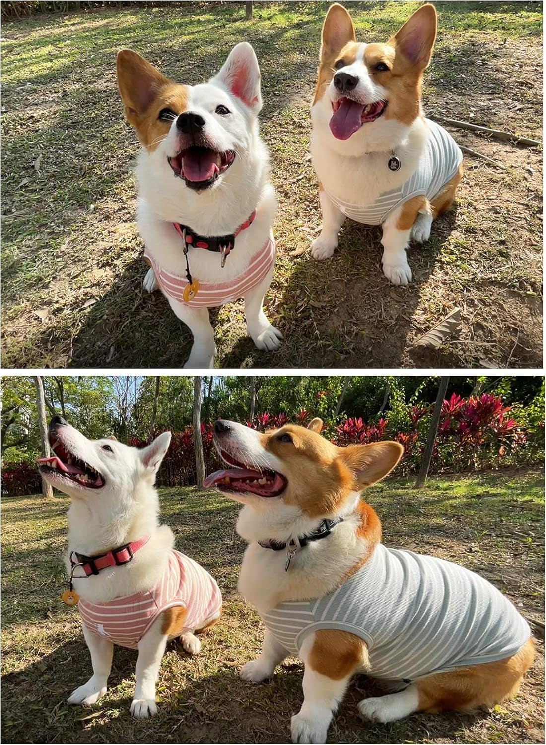 Dog Shirt Vest Lightweight Stretchy Dog T-Shirts Soft Cool Shirts Sleeveless Stripe Vests Breathable Clothes for Puppy Kitty Cats Small Medium Large Dogs 2 Pack Pink + Green [ 5XL ] - FurrrBabies & More! - 7445031488473