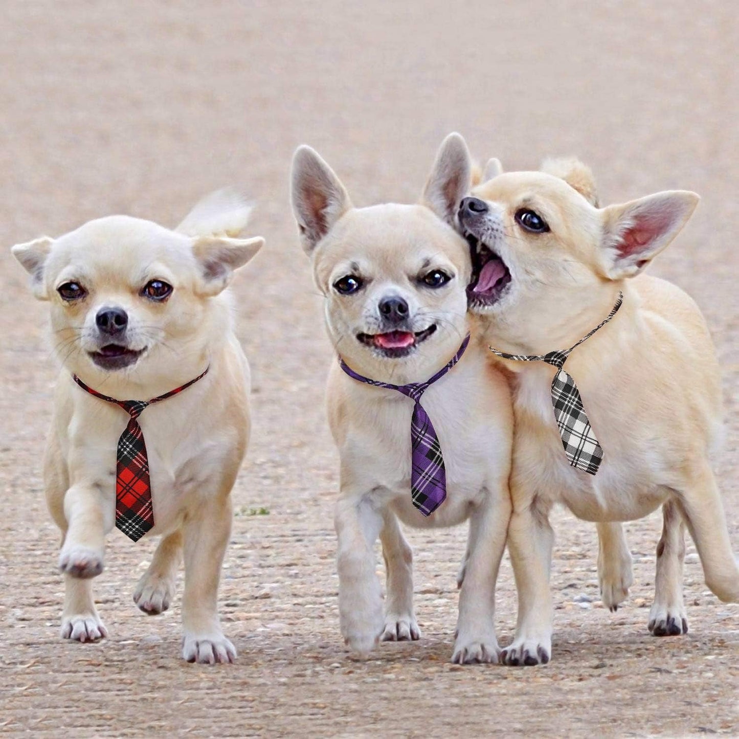 Dog Ties for Large Dogs, Pet Neck Tie, with Adjustable Collar, Bulk Bow Ties Bowties Necktie Grooming Accessories for Girl Boy Dog Valentines Holiday Birthday Wedding Cosplay Costumes - FurrrBabies & More! - 726084495715