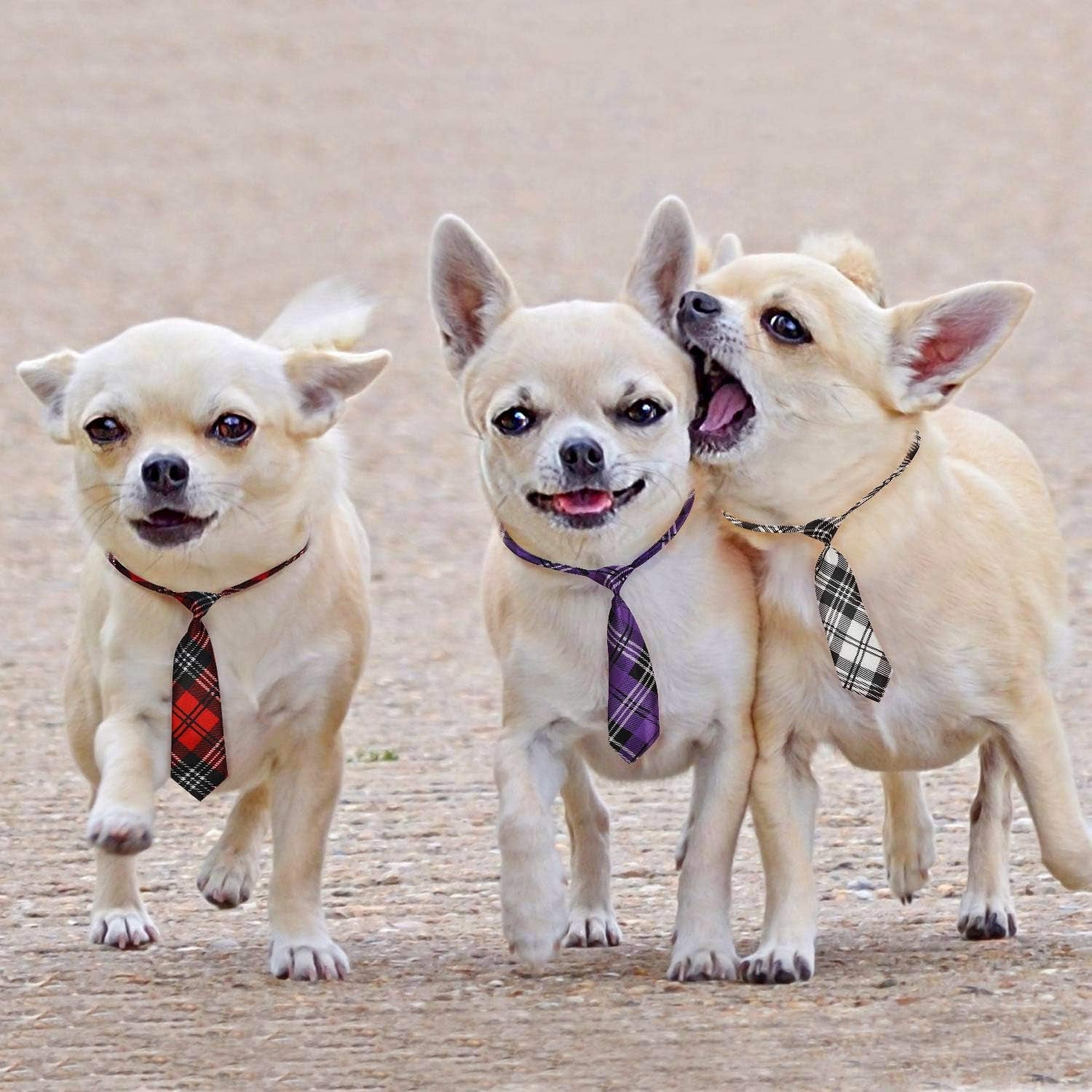 Dog Ties for Large Dogs, Pet Neck Tie, with Adjustable Collar, Bulk Bow Ties Bowties Necktie Grooming Accessories for Girl Boy Dog Valentines Holiday Birthday Wedding Cosplay Costumes - FurrrBabies & More! - 726084495715
