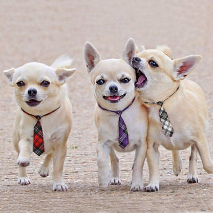 Dog Ties for Large Dogs, Pet Neck Tie, with Adjustable Collar, Bulk Bow Ties Bowties Necktie Grooming Accessories for Girl Boy Dog Valentines Holiday Birthday Wedding Cosplay Costumes - FurrrBabies & More! - 726084495715
