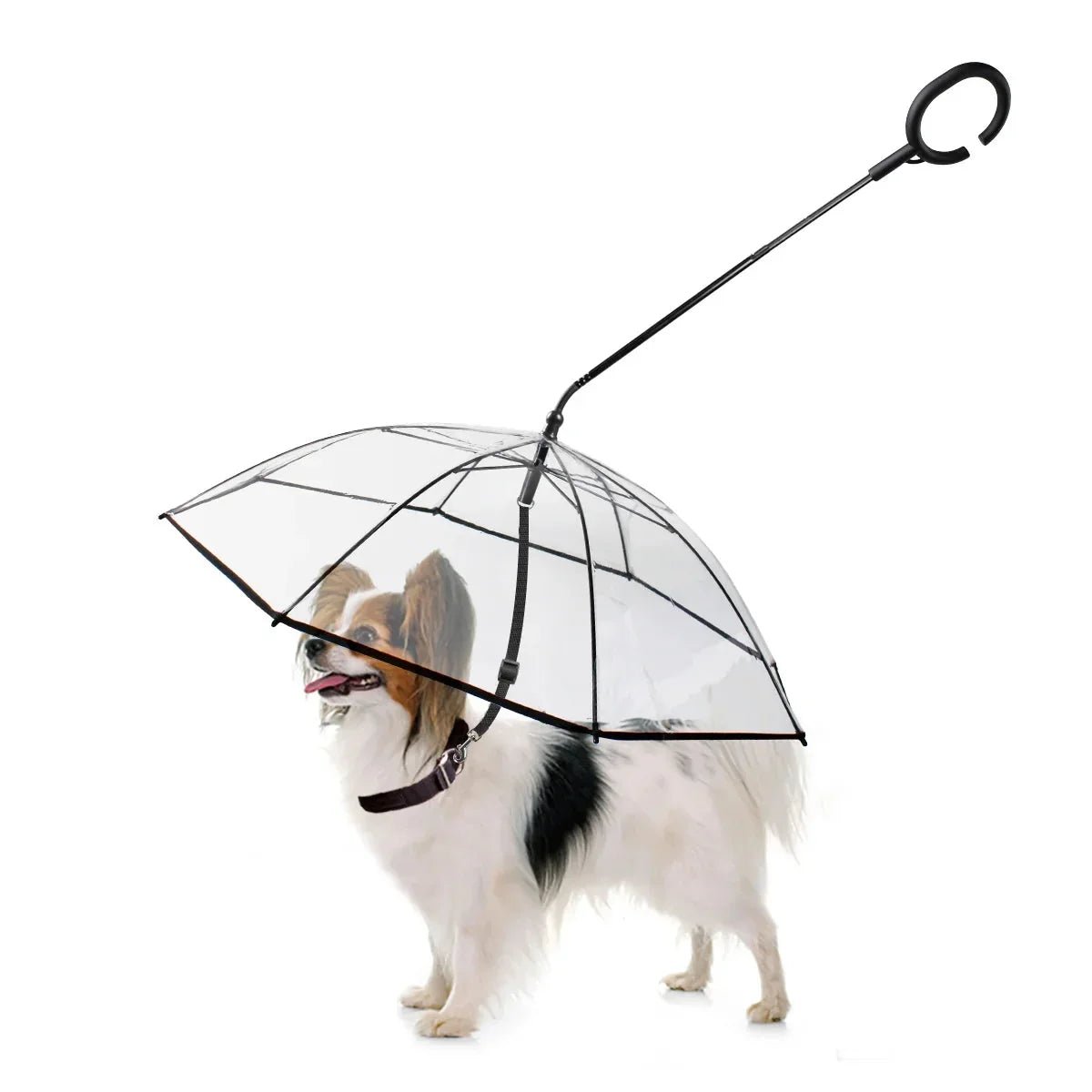 Dog Umbrella - FurrrBabies & More! - 
