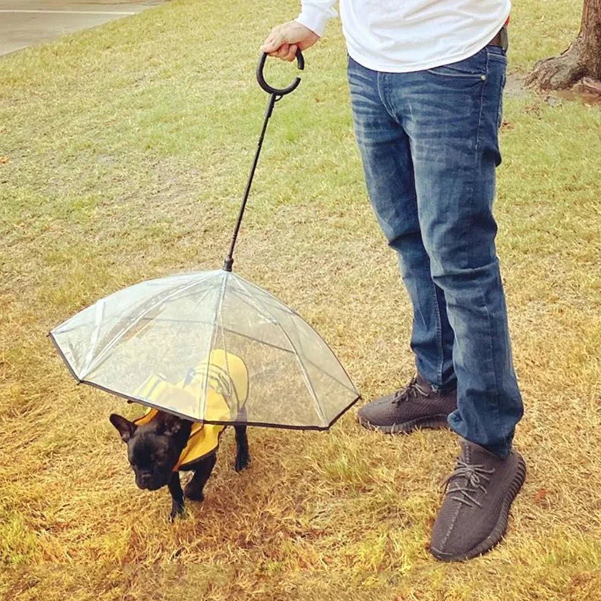 Dog Umbrella - FurrrBabies & More! - 