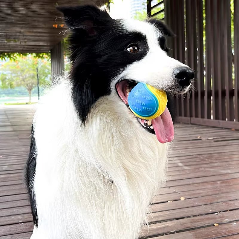 Dogs Interactive Toys Soft TPR Toys for Dog Pet Teeth Cleaning Bite Resistance Squeaky Dog Ball Toy - FurrrBabies & More! - 744110889376Dog toys