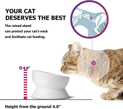 Elevated Cat Food Bowl, Raised Food and Water Bowl for Cat and Small Dog, Tilted Ceramic Water Bowls No Spill,15Oz, Dishwasher Safe - FurrrBabies & More! - 744110355390