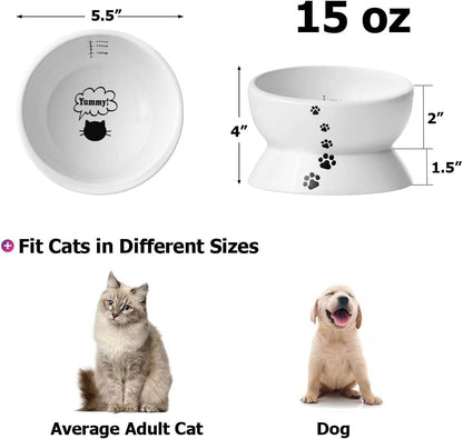 Elevated Cat Food Bowl, Raised Food and Water Bowl for Cat and Small Dog, Tilted Ceramic Water Bowls No Spill,15Oz, Dishwasher Safe - FurrrBabies & More! - 744110355390