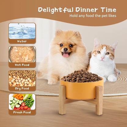 Elevated Ceramic Cat Bowl - Cat Food Bowl with Bamboo Stand - Raised Dog Dish for Puppies - anti Vomiting, Stress Free - 13.5 Oz / 400 Ml - White - FurrrBabies & More! - 7445047172120
