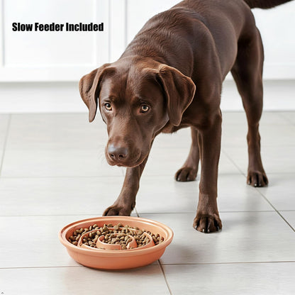 Elevated Dog Bowl Stand with 3 Large Ceramic Bowls – Raised Feeding Station for Medium & Large Dogs, Includes 2 Standard Bowls + 1 Slow Feeder, Durable Iron Frame, Non - Slip (Almond) - FurrrBabies & More! - 726084463196