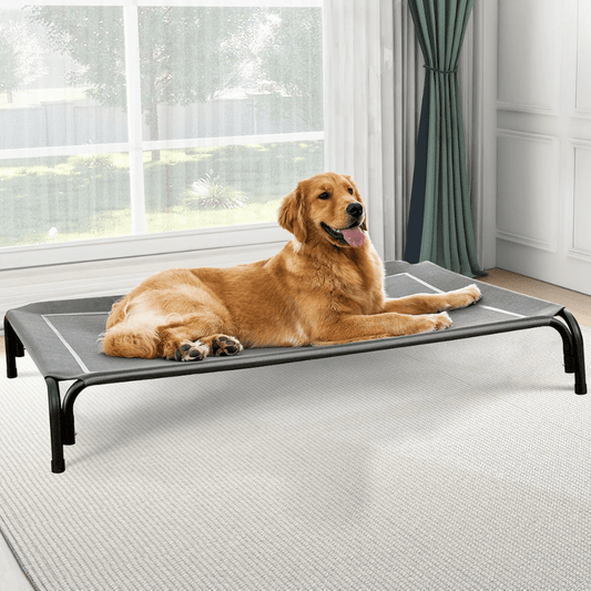 Elevated Dog Cooling Bed - FurrrBabies & More! - 7445041392364