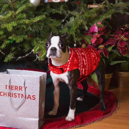 Festive Furry Friends Sweater: Christmas Pet Clothing For Small Dogs And Puppies - FurrrBabies & More! - Dog Clothing & Accessories