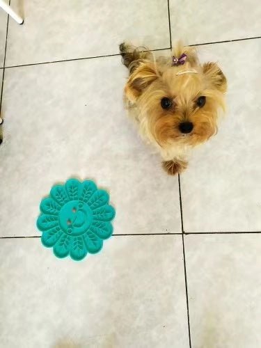 Fish Shape Silicone Bowl Dog Lick Mat Slow Feeding Food Bowl For Small Medium Dogs Puppy Cat Treat Feeder Dispenser Pet Supplies - FurrrBabies & More! - Popit Toys