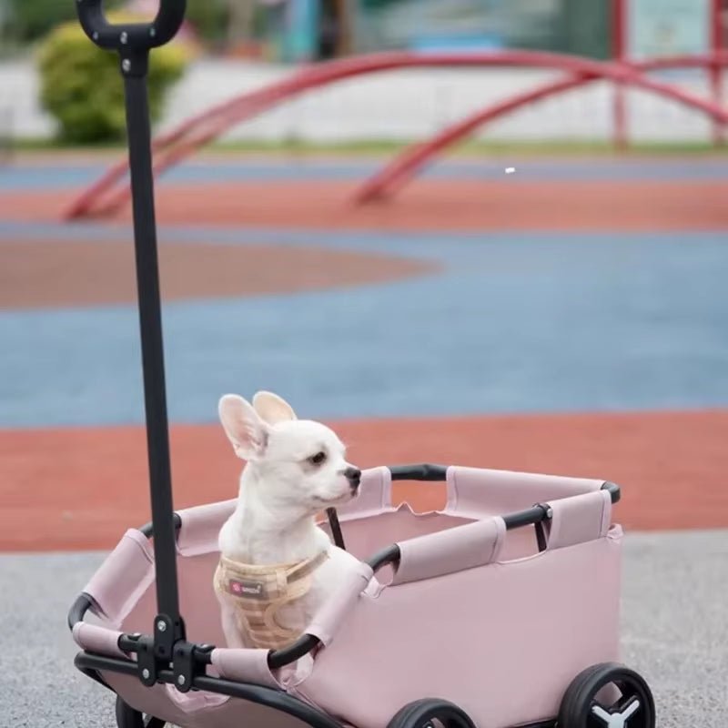 Foldable Pet Stroller – Glide in Style, Stroll in Comfort - FurrrBabies & More! - 7445048397393