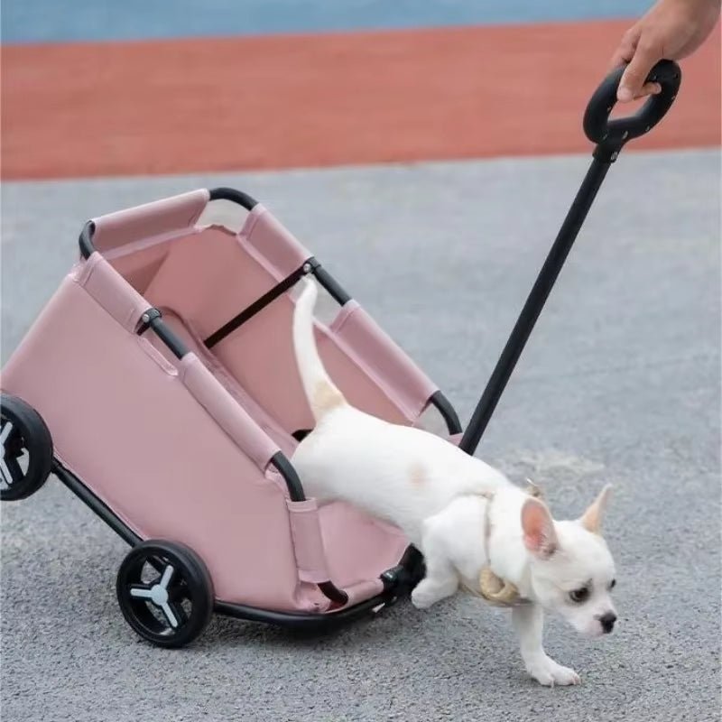Foldable Pet Stroller – Glide in Style, Stroll in Comfort - FurrrBabies & More! - 7445048397393