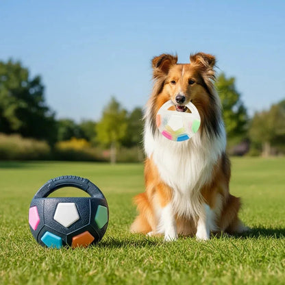 Football Tennis Dog Toy - FurrrBabies & More! - 7445002736718