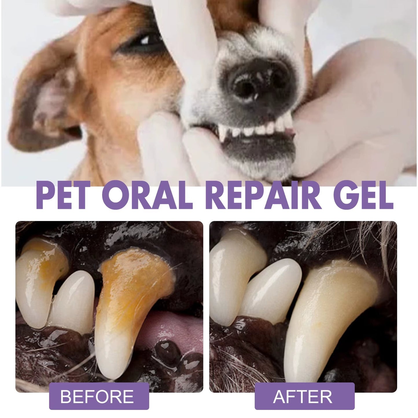 FreshPaws™ Pet Oral Repair Gel – The Ultimate Smile Saver for Cats & Dogs - FurrrBabies & More! - 313042794777