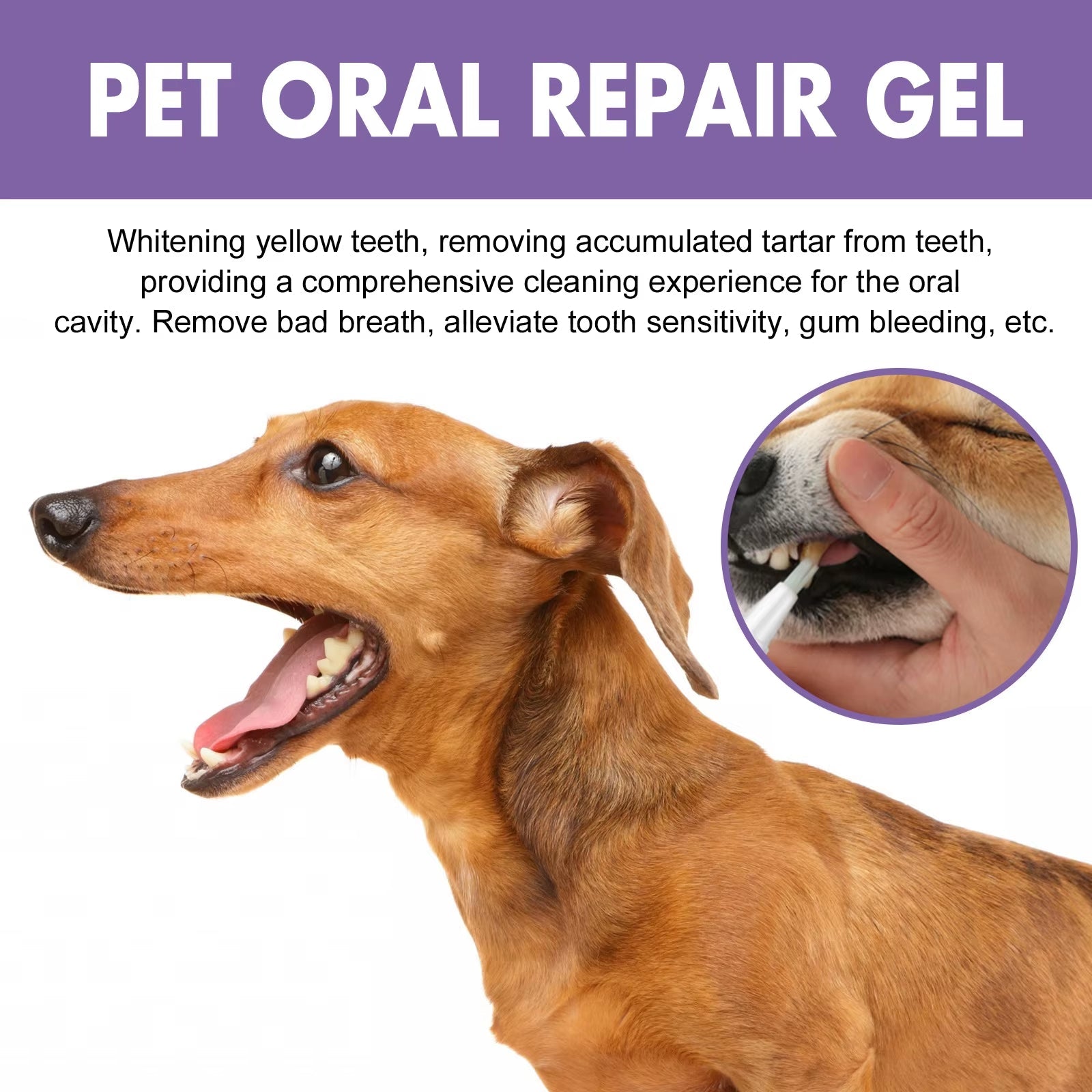 FreshPaws™ Pet Oral Repair Gel – The Ultimate Smile Saver for Cats & Dogs - FurrrBabies & More! - 313042794777