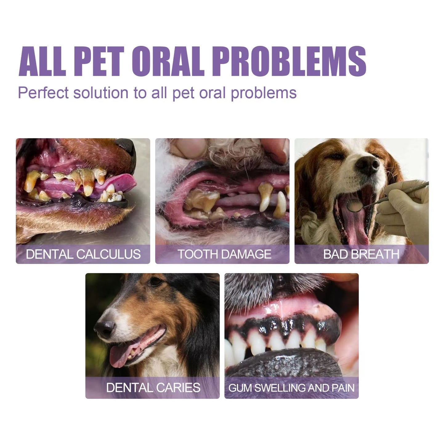 FreshPaws™ Pet Oral Repair Gel – The Ultimate Smile Saver for Cats & Dogs - FurrrBabies & More! - 313038920944
