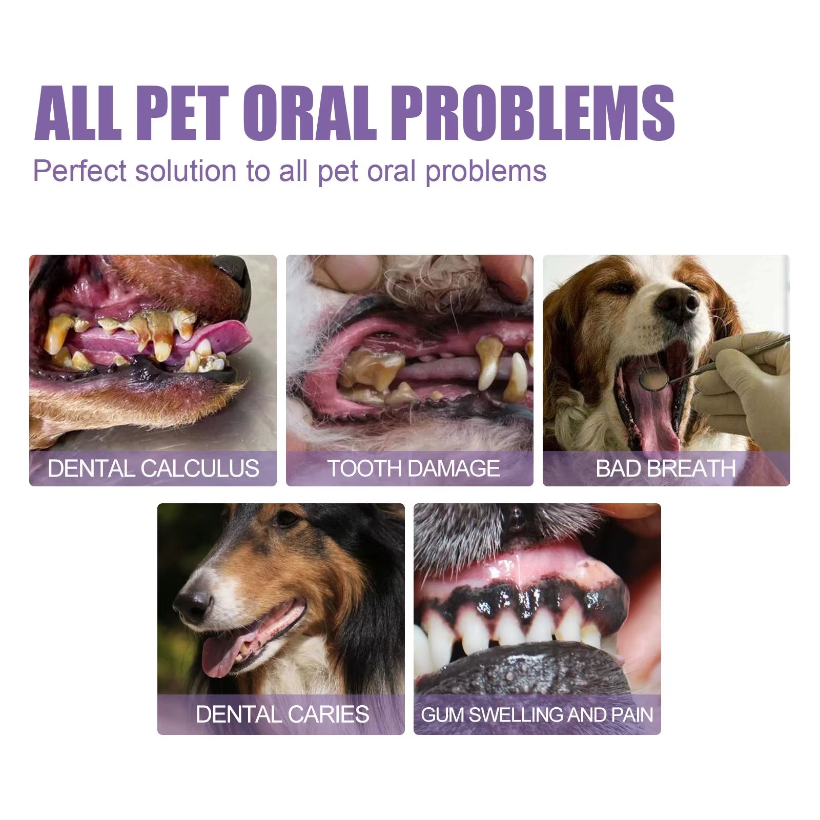 FreshPaws™ Pet Oral Repair Gel – The Ultimate Smile Saver for Cats & Dogs - FurrrBabies & More! - 313042794777