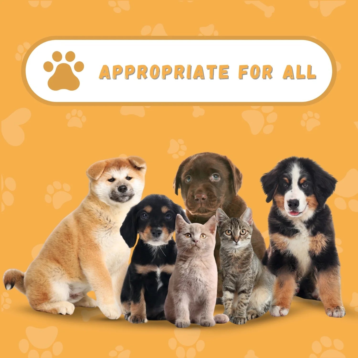 Genie Pet Tag - FurrrBabies & More! - Pet tag