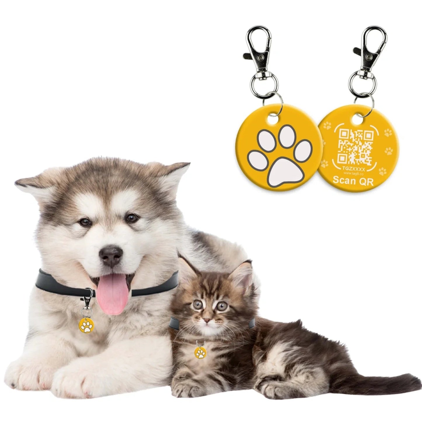 Genie Pet Tag - FurrrBabies & More! - Pet tag