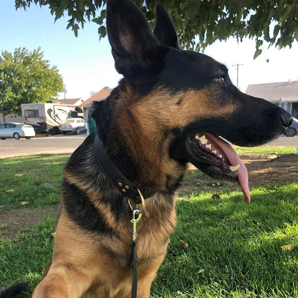 Genuine Leather Dog Collar, Heavy Duty Dog Wide Collar for Small,Medium,Large and Extra Large Dog (XL: 1.4" Wide for 18.6" - 25.8" Neck, Single Stitch - Brown) - FurrrBabies & More! - 313096725703