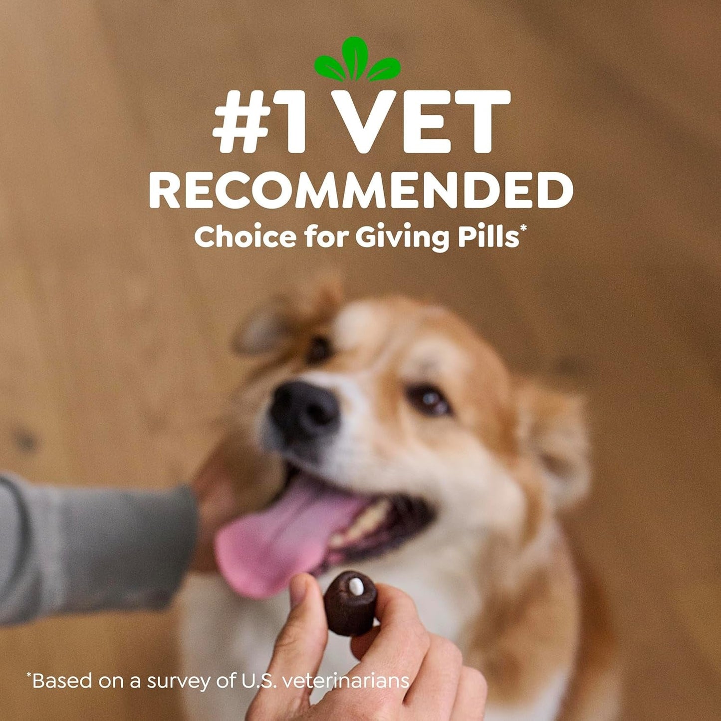 Greenies Pill Pockets for Dogs Large Size, Dog Treat Pouch for Capsule Medication, Cheese Flavor, 15.8 Oz. Pouch - FurrrBabies & More! - 7445034323337