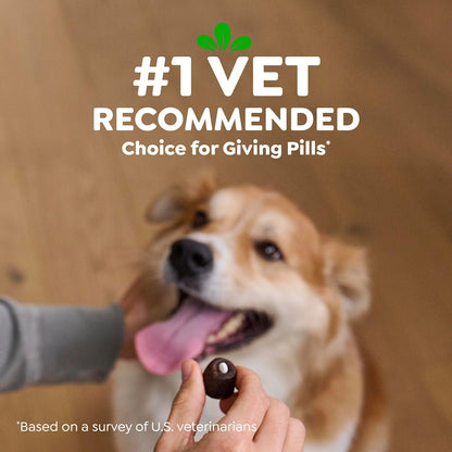 Greenies Pill Pockets for Dogs Large Size, Dog Treat Pouch for Capsule Medication, Cheese Flavor, 15.8 Oz. Pouch - FurrrBabies & More! - 7445034323337
