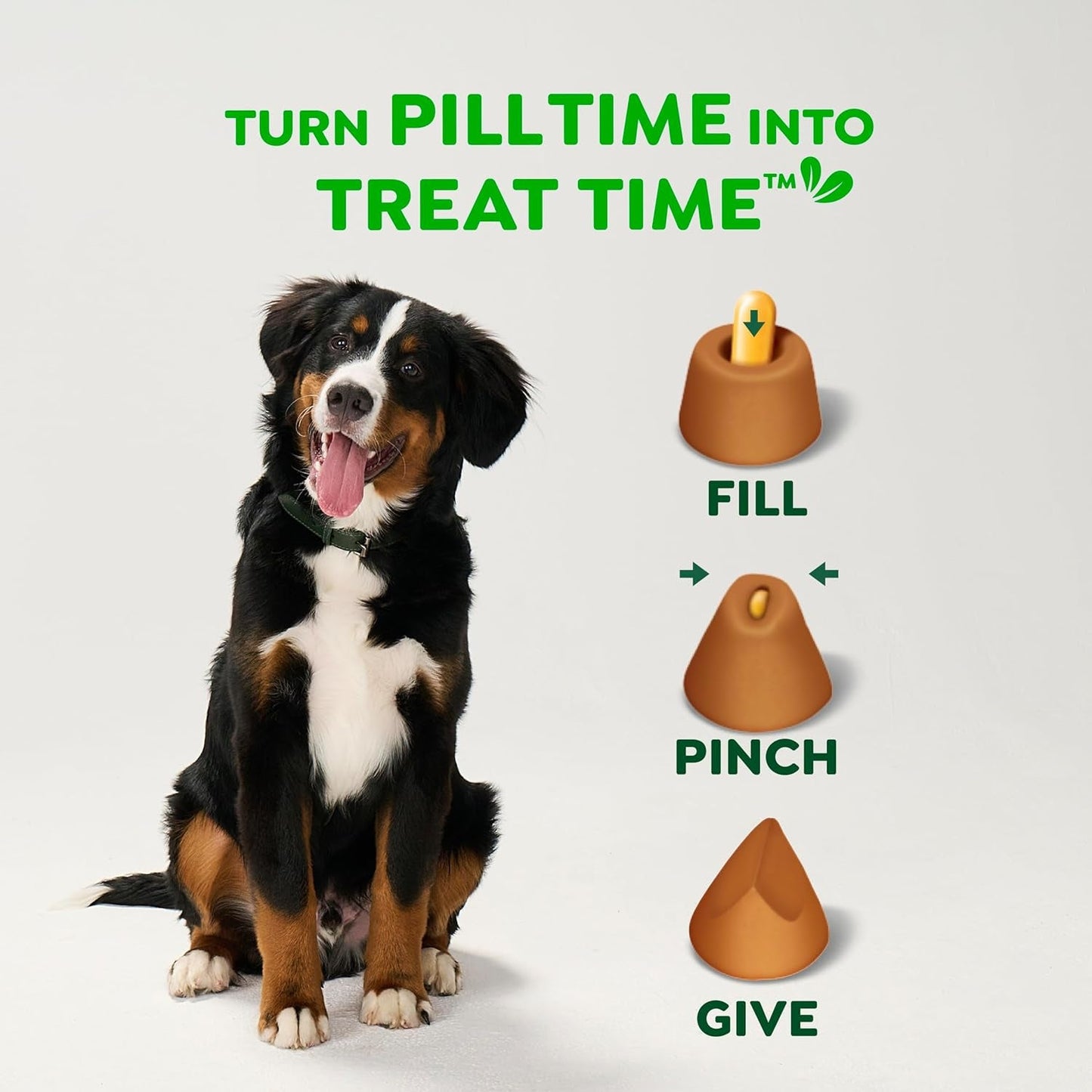 Greenies Pill Pockets for Dogs Large Size, Dog Treat Pouch for Capsule Medication, Cheese Flavor, 15.8 Oz. Pouch - FurrrBabies & More! - 7445034323337