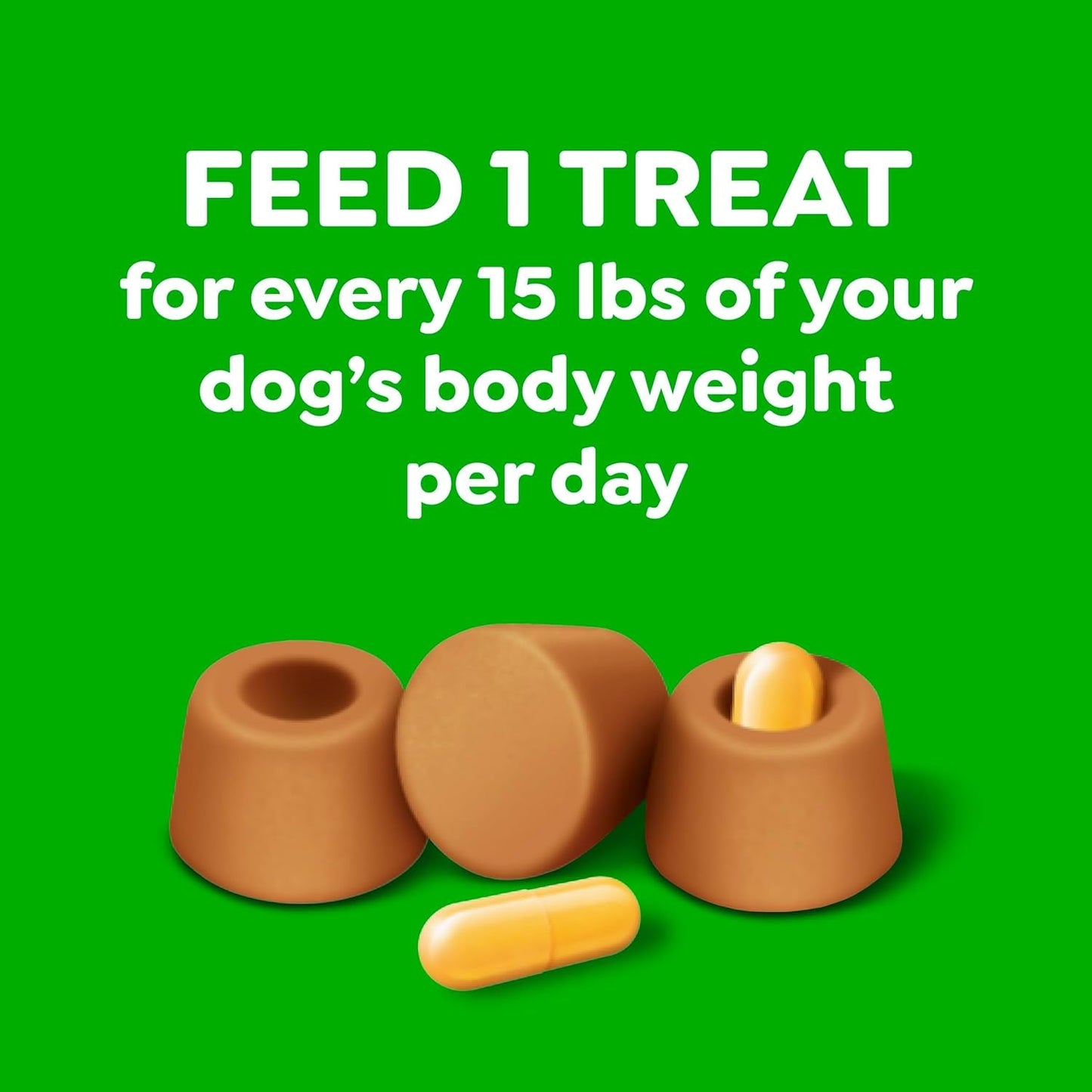 Greenies Pill Pockets for Dogs Large Size, Dog Treat Pouch for Capsule Medication, Cheese Flavor, 15.8 Oz. Pouch - FurrrBabies & More! - 7445034323337