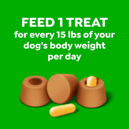 Greenies Pill Pockets for Dogs Large Size, Dog Treat Pouch for Capsule Medication, Cheese Flavor, 15.8 Oz. Pouch - FurrrBabies & More! - 7445034323337