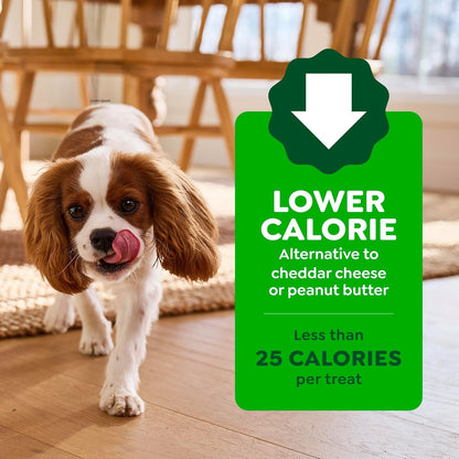 Greenies Pill Pockets for Dogs Large Size, Dog Treat Pouch for Capsule Medication, Cheese Flavor, 15.8 Oz. Pouch - FurrrBabies & More! - 7445034323337