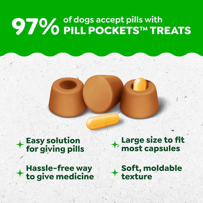Greenies Pill Pockets for Dogs Large Size, Dog Treat Pouch for Capsule Medication, Cheese Flavor, 15.8 Oz. Pouch - FurrrBabies & More! - 7445034323337