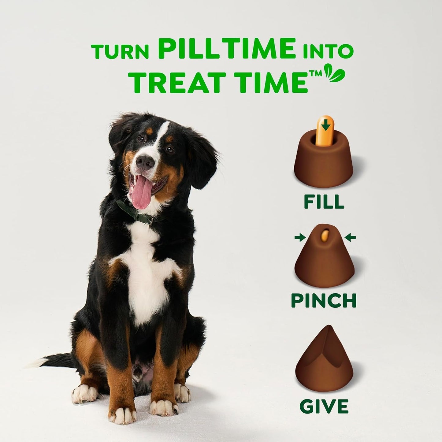 Greenies Pill Pockets for Dogs Large Size, Dog Treat Pouch for Capsule Medication, Hickory Smoke Flavor, 7.9 Oz. Pouch - FurrrBabies & More! - 744759693518