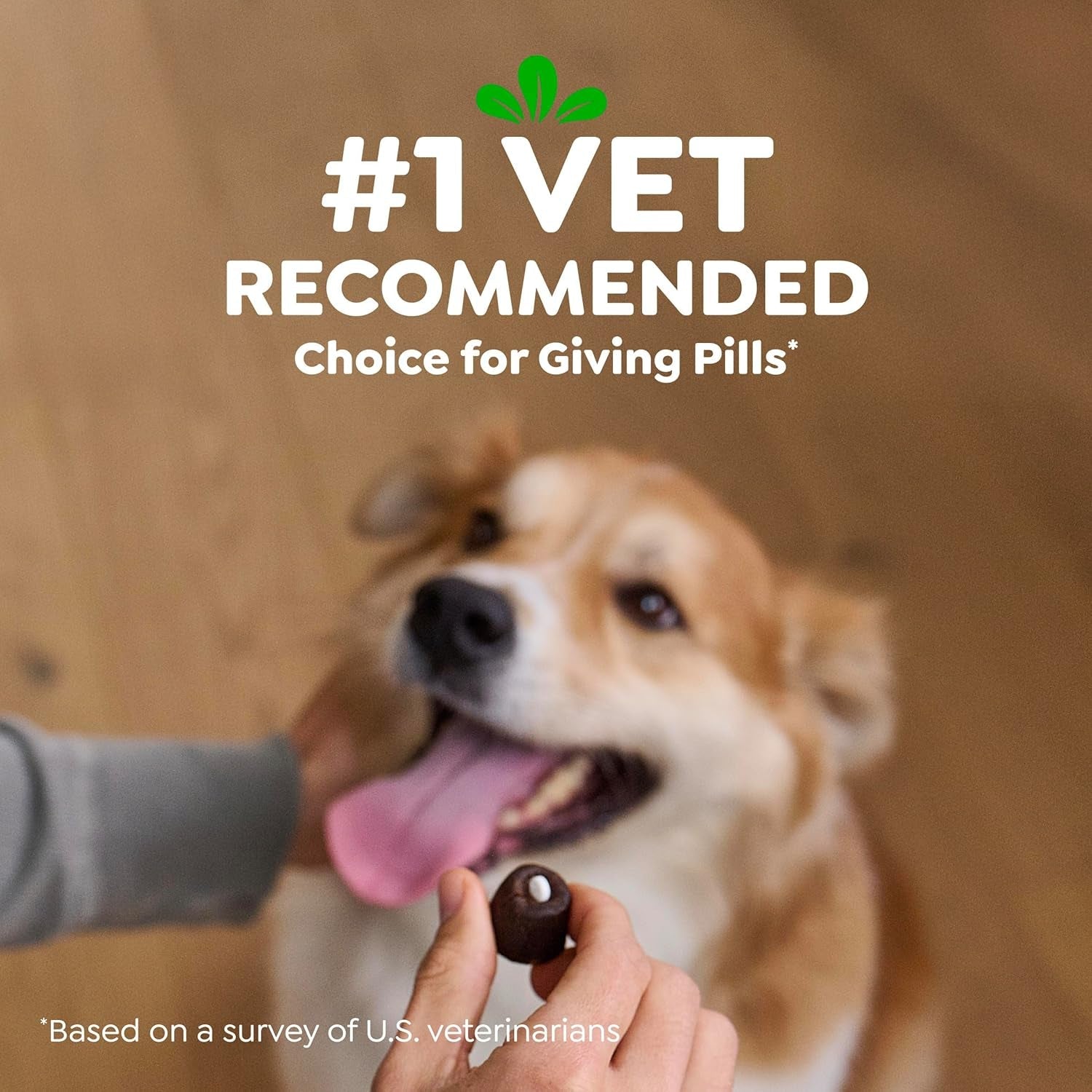 Greenies Pill Pockets for Dogs Large Size, Dog Treat Pouch for Capsule Medication, Hickory Smoke Flavor, 7.9 Oz. Pouch - FurrrBabies & More! - 744759693518