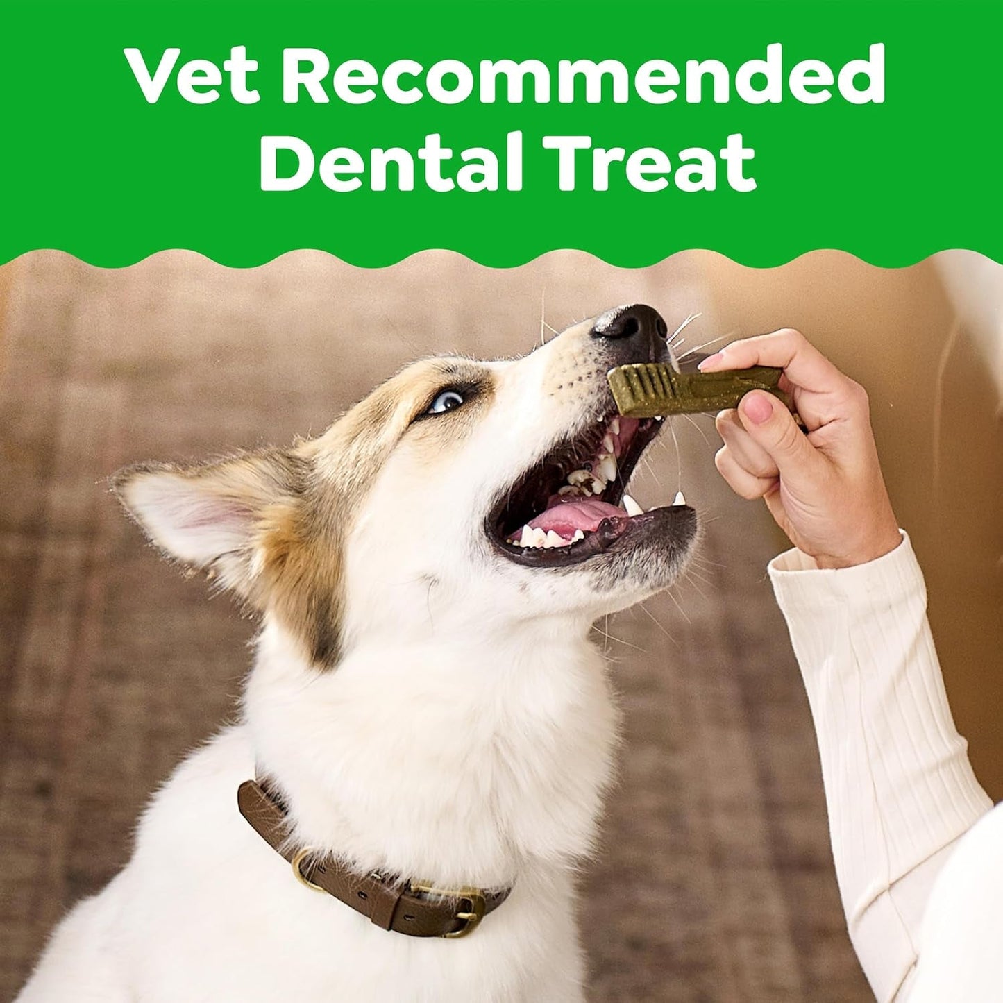 Greenies Veterinarian - Recommended Adult Natural Dental Dog Treats Large Size, Dog Dental Chews, Original Flavor, 54 Oz. Pack, 34 Count - FurrrBabies & More! - 7445015129163