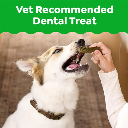 Greenies Veterinarian - Recommended Adult Natural Dental Dog Treats Large Size, Dog Dental Chews, Original Flavor, 54 Oz. Pack, 34 Count - FurrrBabies & More! - 7445015129163