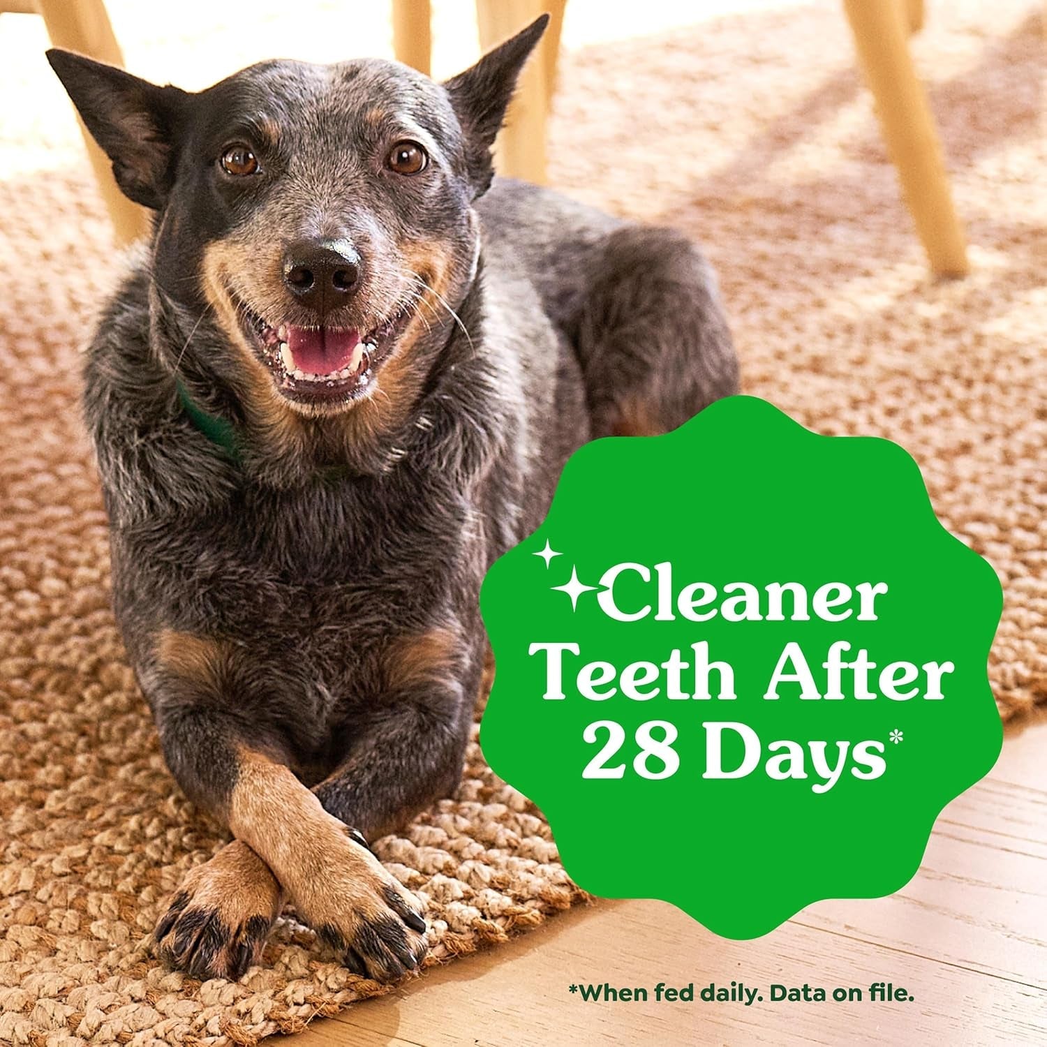 Greenies Veterinarian - Recommended Adult Natural Dental Dog Treats Large Size, Dog Dental Chews, Original Flavor, 54 Oz. Pack, 34 Count - FurrrBabies & More! - 7445015129163