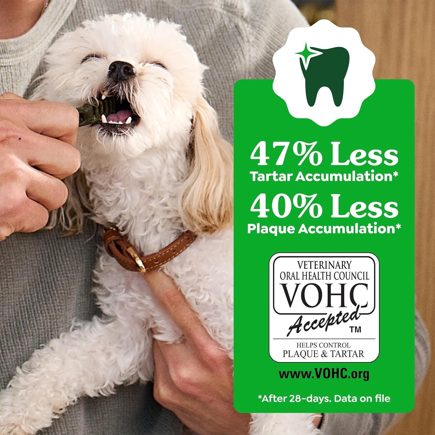 Greenies Veterinarian - Recommended Adult Natural Dental Dog Treats Large Size, Dog Dental Chews, Original Flavor, 54 Oz. Pack, 34 Count - FurrrBabies & More! - 7445015129163