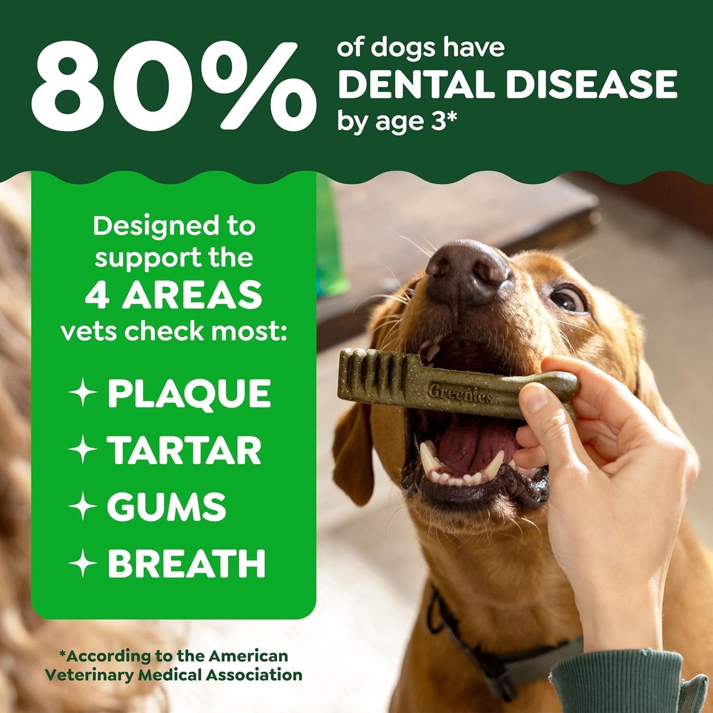 Greenies Veterinarian - Recommended Adult Natural Dental Dog Treats Large Size, Dog Dental Chews, Original Flavor, 54 Oz. Pack, 34 Count - FurrrBabies & More! - 7445015129163