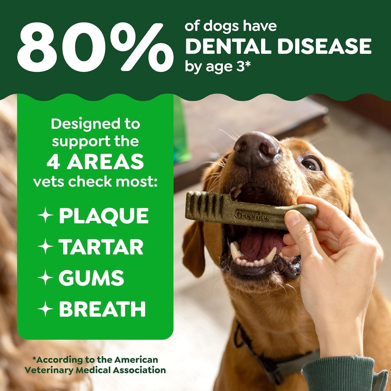 Greenies Veterinarian - Recommended Adult Natural Dental Dog Treats Large Size, Dog Dental Chews, Original Flavor, 54 Oz. Pack, 34 Count - FurrrBabies & More! - 7445015129163