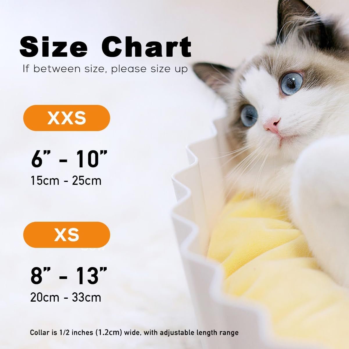 Happy Birthday Cat Breakaway Collar Bow Tie with Bell, Wedding/Birthday Cat Accessories - FurrrBabies & More! - 7445012851852