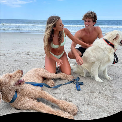 Heavy Duty Dog Leash for Medium and Large Dogs - 6 Ft Long Double Handle Leash with Padded Traffic Control Handles and Bag for Comfort - Reflective, Durable, and Weather Resistant (Aqua) - FurrrBabies & More! - 7445046837808