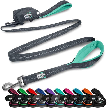 Heavy Duty Dog Leash for Medium and Large Dogs - 6 Ft Long Double Handle Leash with Padded Traffic Control Handles and Bag for Comfort - Reflective, Durable, and Weather Resistant (Aqua) - FurrrBabies & More! - 7445046837808