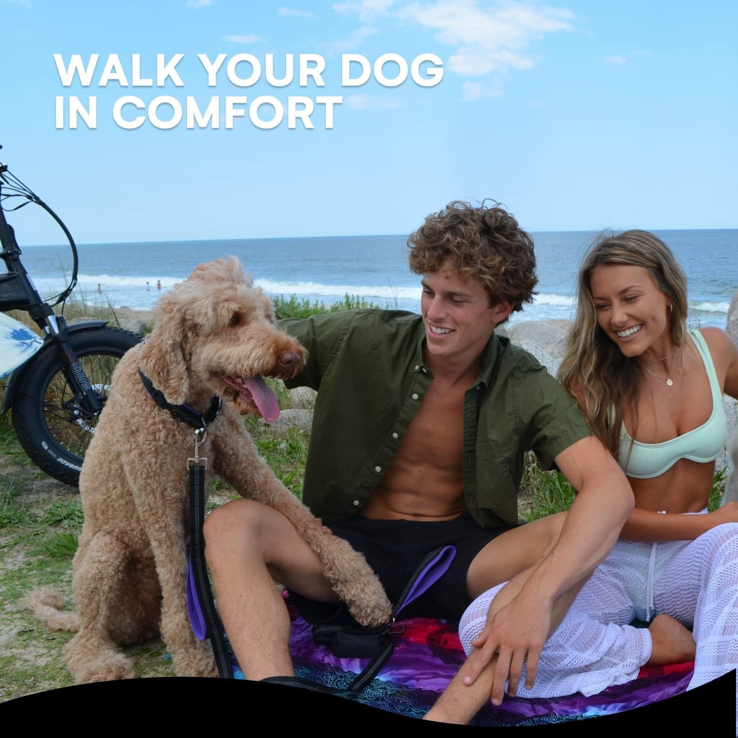 Heavy Duty Dog Leash for Medium and Large Dogs - 6 Ft Long Double Handle Leash with Padded Traffic Control Handles and Bag for Comfort - Reflective, Durable, and Weather Resistant (Aqua) - FurrrBabies & More! - 7445046837808