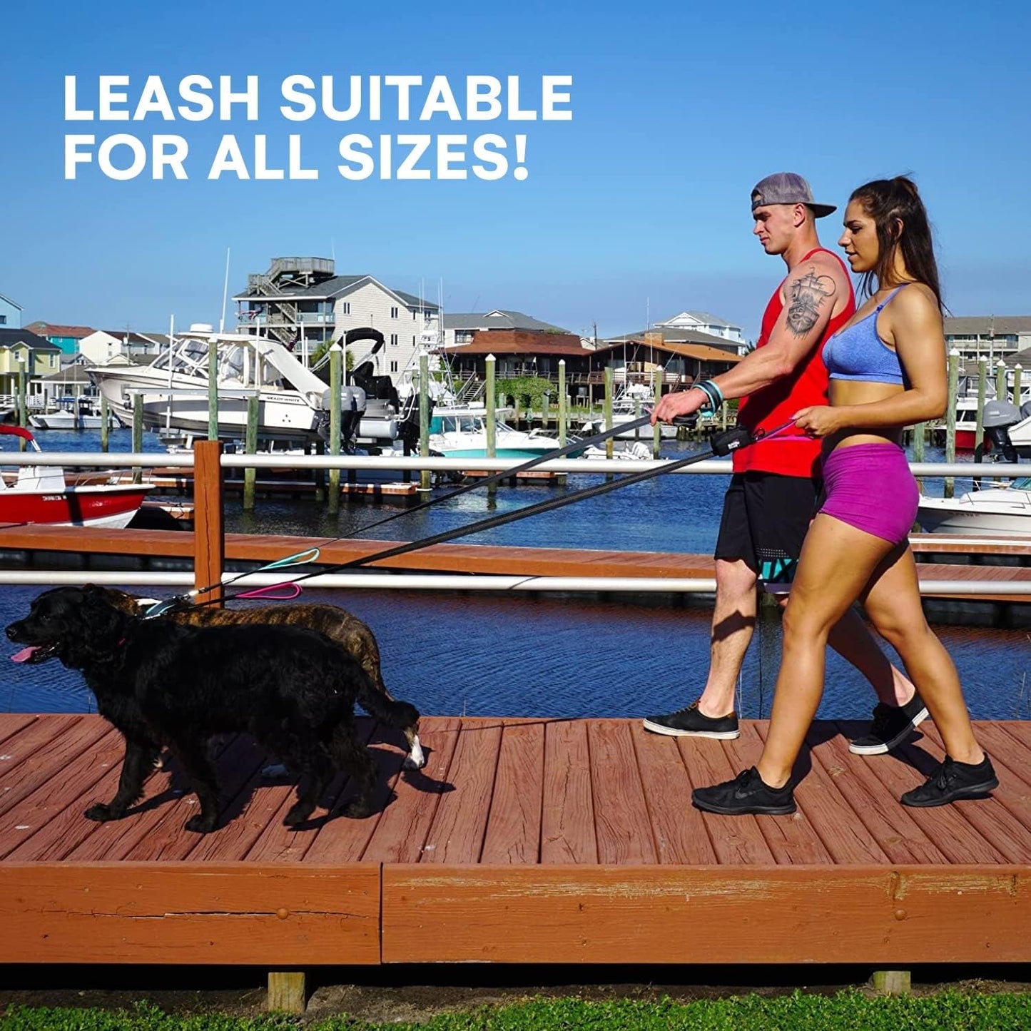 Heavy Duty Dog Leash for Medium and Large Dogs - 6 Ft Long Double Handle Leash with Padded Traffic Control Handles and Bag for Comfort - Reflective, Durable, and Weather Resistant (Aqua) - FurrrBabies & More! - 7445046837808