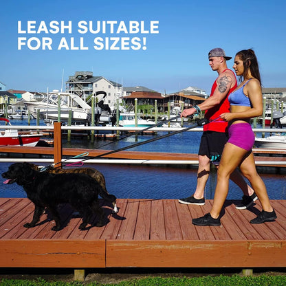 Heavy Duty Dog Leash for Medium and Large Dogs - 6 Ft Long Double Handle Leash with Padded Traffic Control Handles and Bag for Comfort - Reflective, Durable, and Weather Resistant (Aqua) - FurrrBabies & More! - 7445046837808