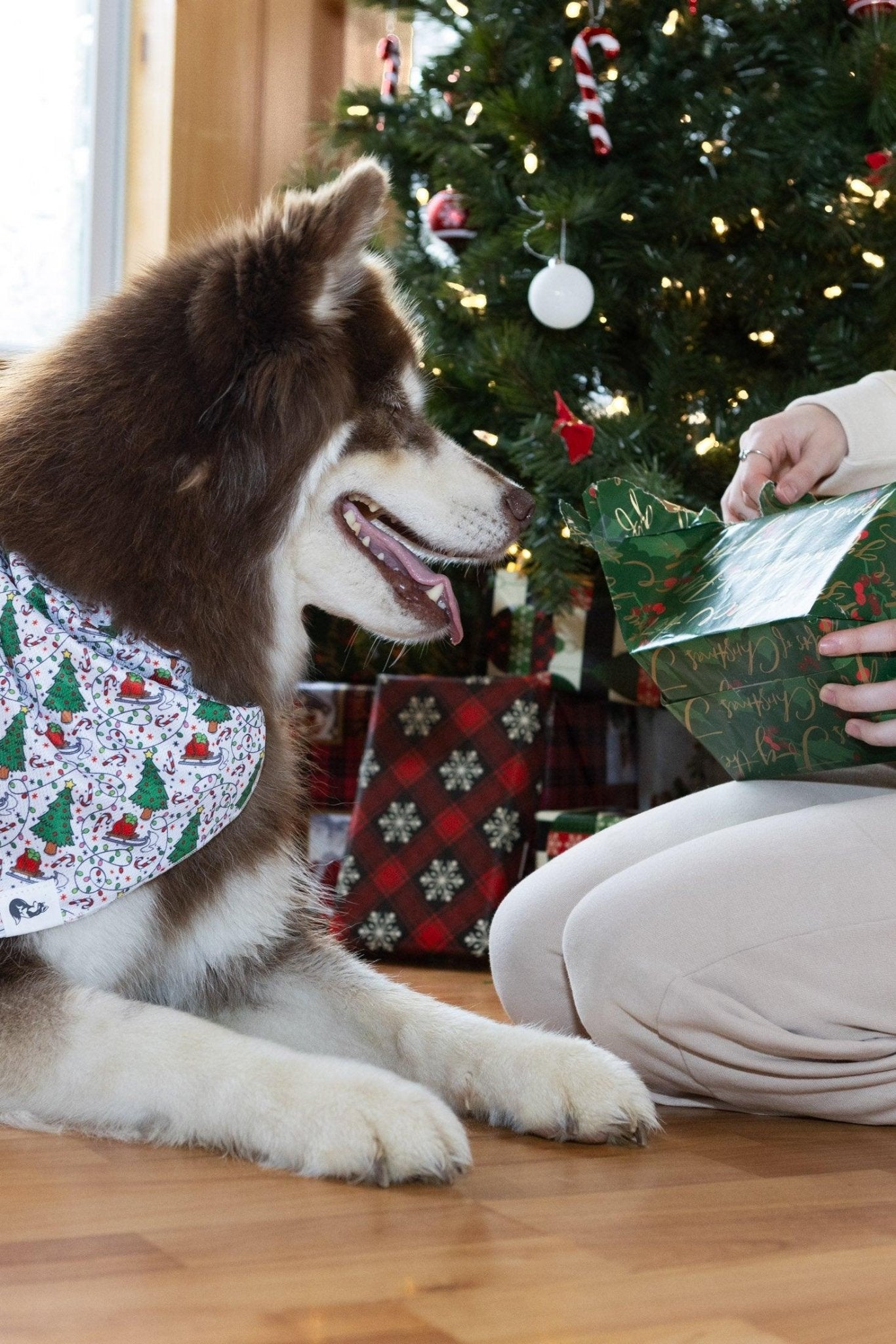 Howliday Cheer Dog Bandana - FurrrBabies & More! - 3531994112341bandana